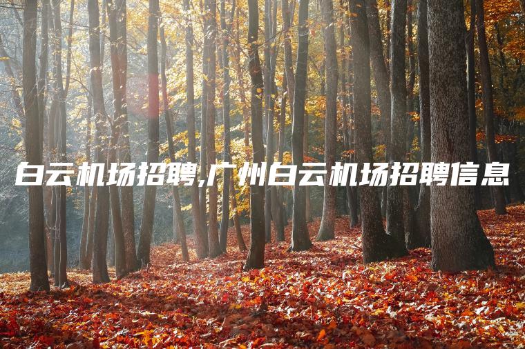 白云机场招聘,广州白云机场招聘信息