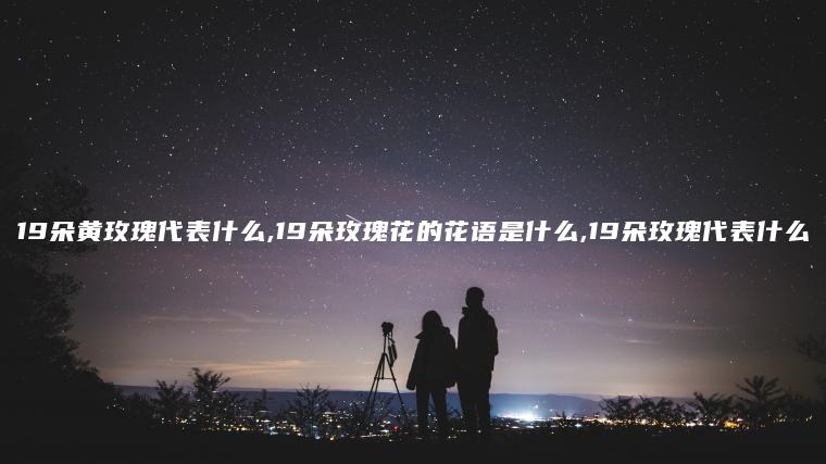 19朵黄玫瑰代表什么,19朵玫瑰花的花语是什么,19朵玫瑰代表什么