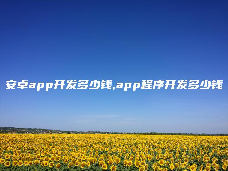 安卓app开发多少钱,app程序开发多少钱