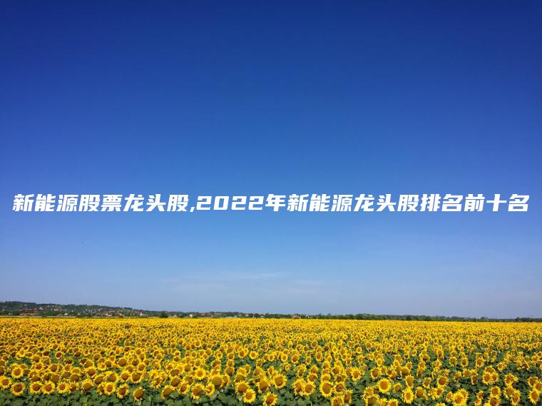 新能源股票龙头股,2022年新能源龙头股排名前十名