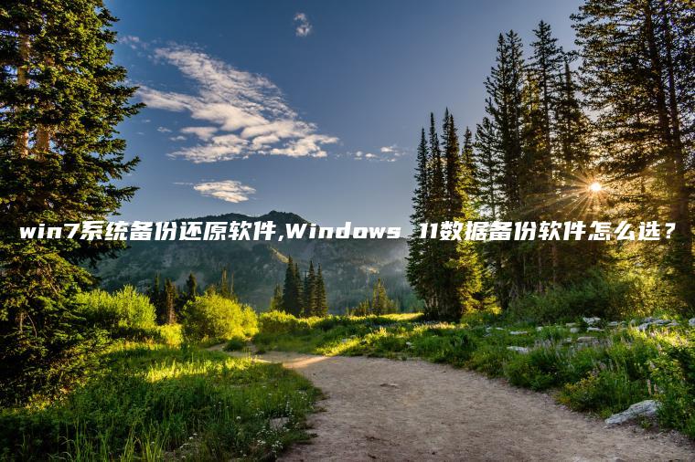 win7系统备份还原软件,Windows 11数据备份软件怎么选？