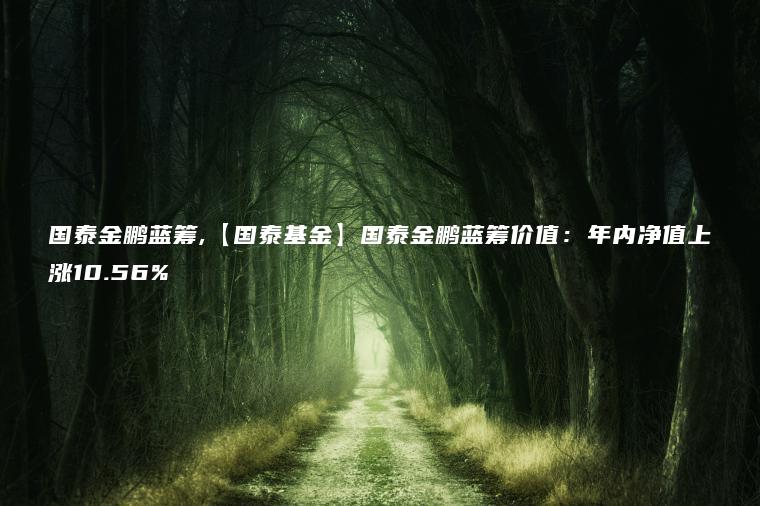 国泰金鹏蓝筹,【国泰基金】国泰金鹏蓝筹价值：年内净值上涨10.56%