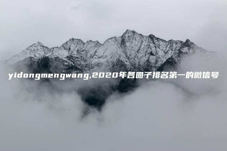 yidongmengwang,2020年各圈子排名第一的微信号