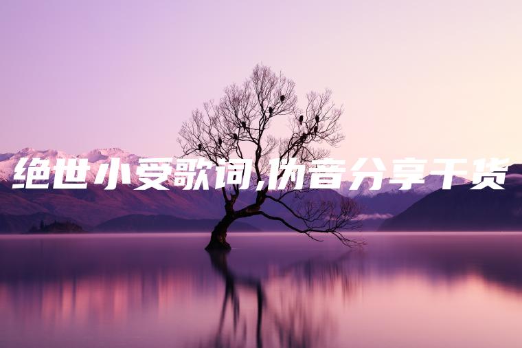 绝世小受歌词,伪音分享干货