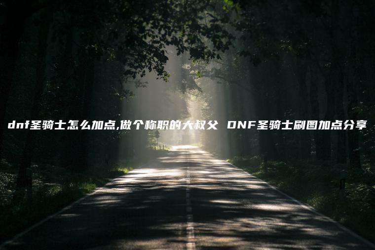 dnf圣骑士怎么加点,做个称职的大叔父 DNF圣骑士刷图加点分享