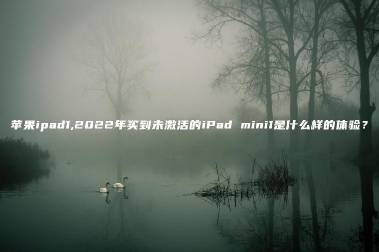 苹果ipad1,2022年买到未激活的iPad mini1是什么样的体验？