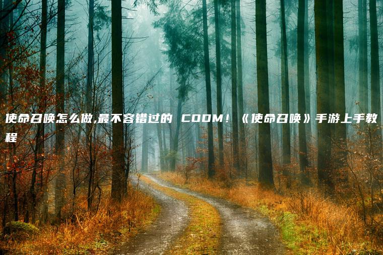 使命召唤怎么做,最不容错过的 CODM！《使命召唤》手游上手教程