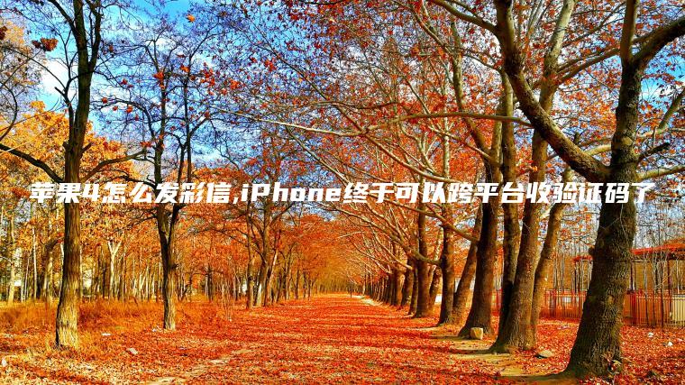 苹果4怎么发彩信,iPhone终于可以跨平台收验证码了