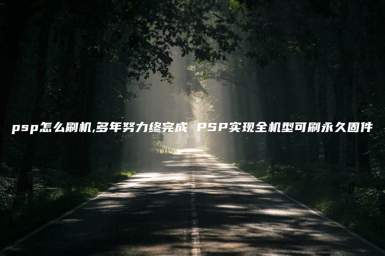 psp怎么刷机,多年努力终完成 PSP实现全机型可刷永久固件