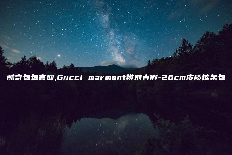 酷奇包包官网,Gucci marmont辨别真假-26cm皮质链条包