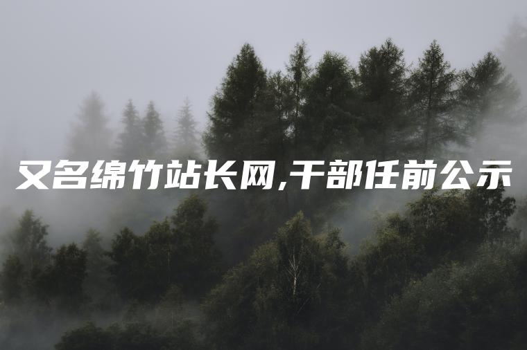 又名绵竹站长网,干部任前公示