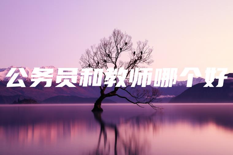 公务员和教师哪个好