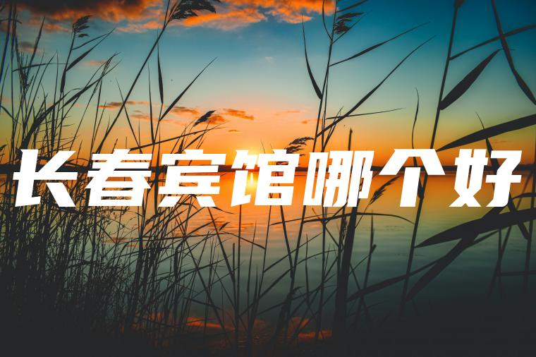 长春宾馆哪个好