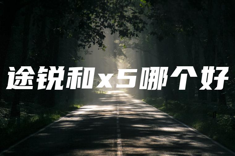 途锐和x5哪个好