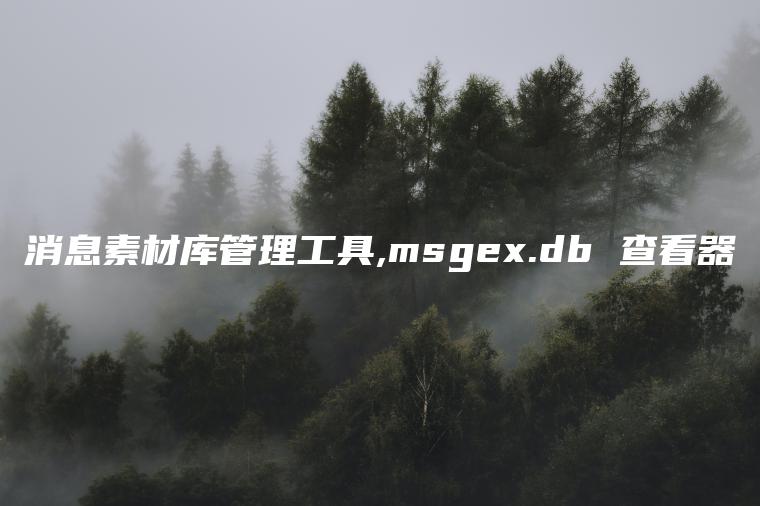 消息素材库管理工具,msgex.db 查看器