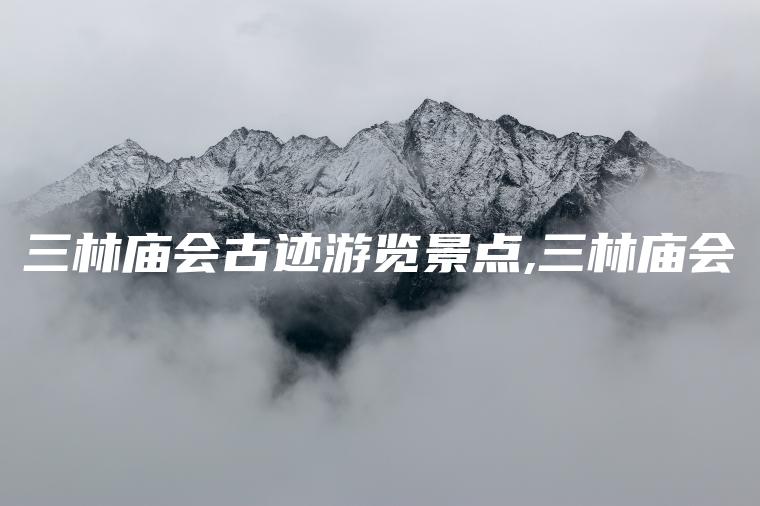 三林庙会古迹游览景点,三林庙会