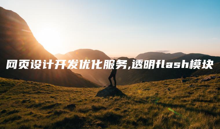 网页设计开发优化服务,透明flash模块