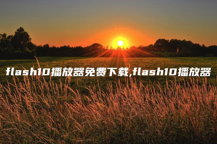 flash10播放器免费下载,flash10播放器