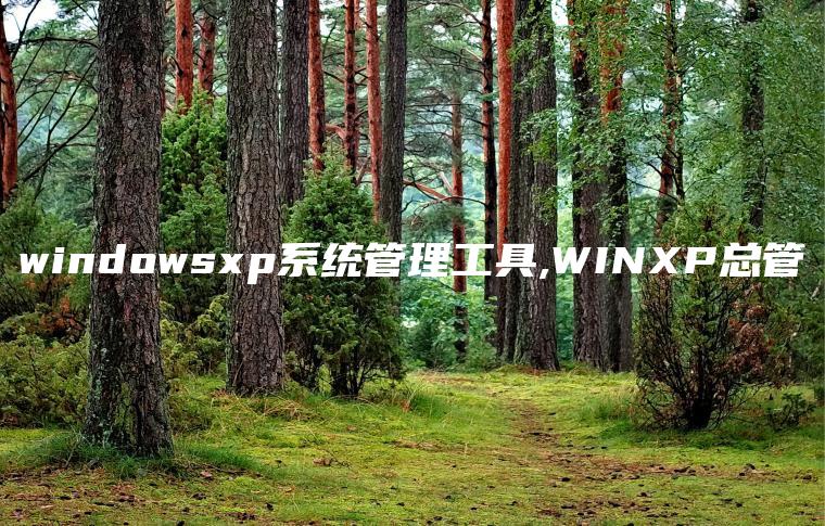 windowsxp系统管理工具,WINXP总管