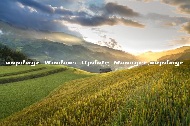 wupdmgr Windows Update Manager,wupdmgr