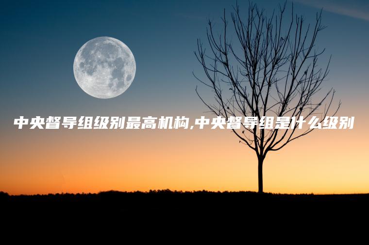 中央督导组级别最高机构,中央督导组是什么级别