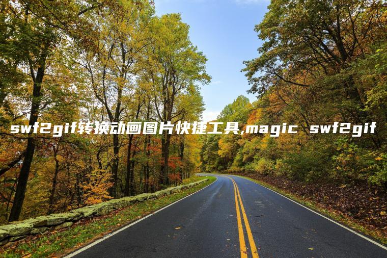 swf2gif转换动画图片快捷工具,magic swf2gif