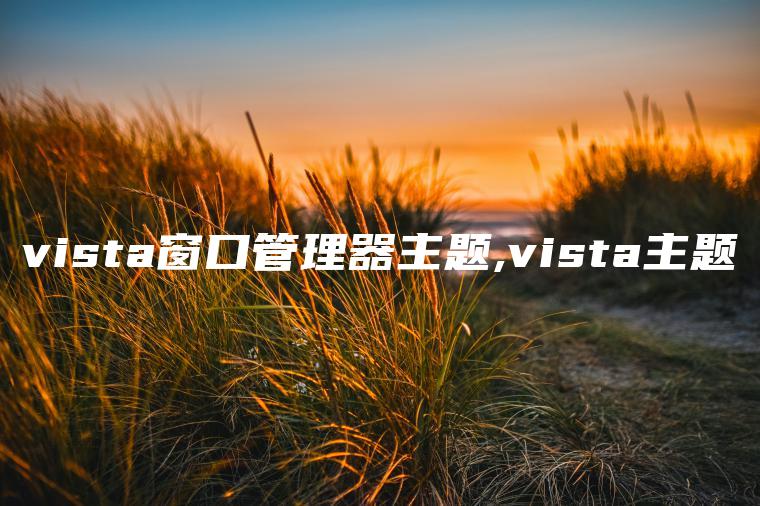 vista窗口管理器主题,vista主题