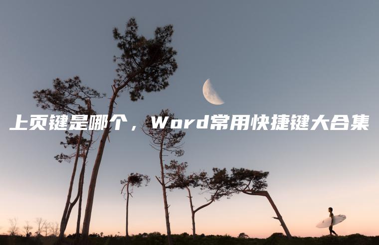 上页键是哪个，Word常用快捷键大合集