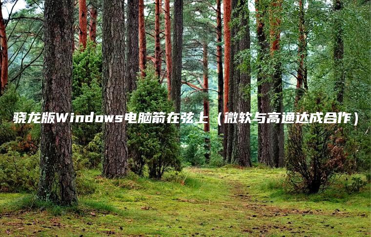 骁龙版Windows电脑箭在弦上（微软与高通达成合作）