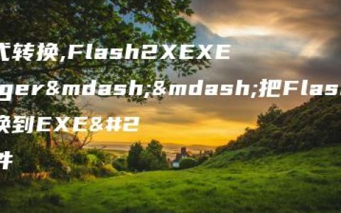 exe格式转换,Flash2XEXEPackager——把Flash、FlV格式转换到EXE文件