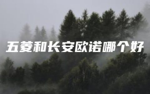 五菱和长安欧诺哪个好