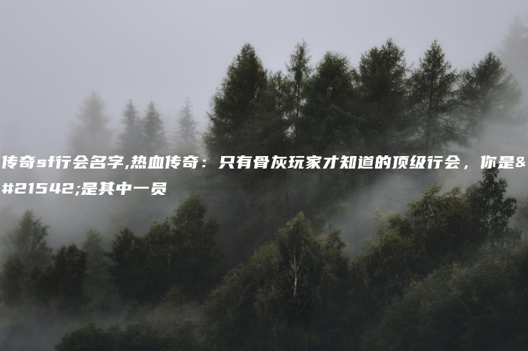 传奇sf行会名字,热血传奇：只有骨灰玩家才知道的顶级行会，你是否是其中一员