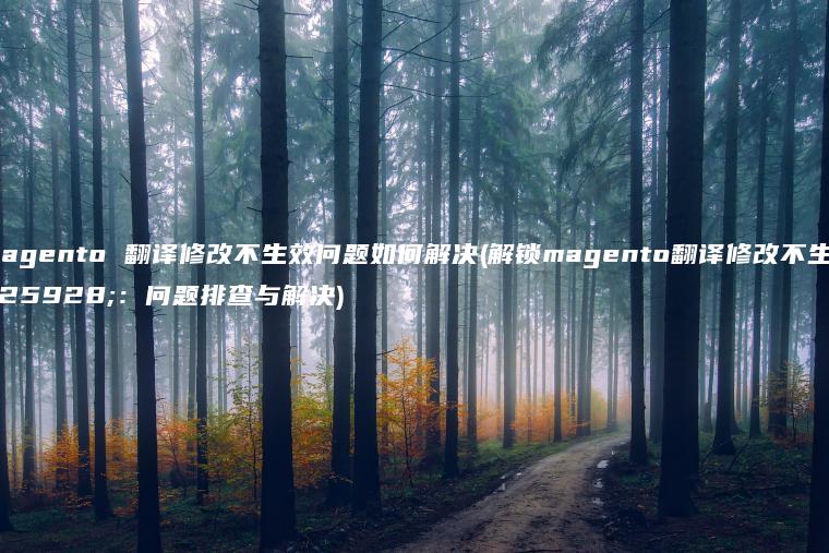 magento 翻译修改不生效问题如何解决(解锁magento翻译修改不生效：问题排查与解决)