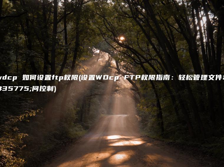 wdcp 如何设置ftp权限(设置WDcp FTP权限指南：轻松管理文件访问控制)