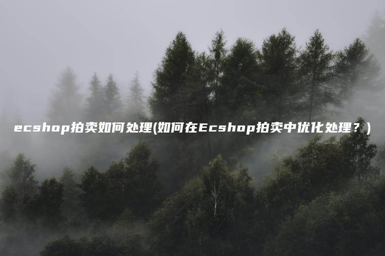 ecshop拍卖如何处理(如何在Ecshop拍卖中优化处理？)