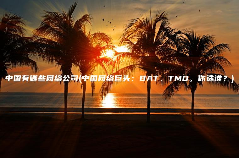 中国有哪些网络公司(中国网络巨头：BAT、TMD，你选谁？)