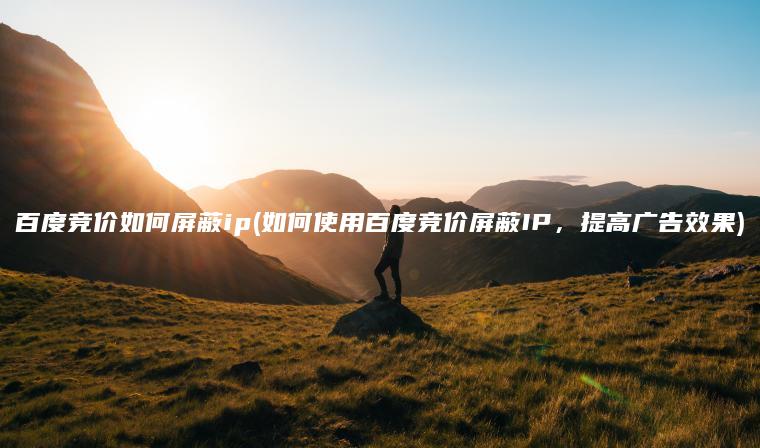 百度竞价如何屏蔽ip(如何使用百度竞价屏蔽IP，提高广告效果)