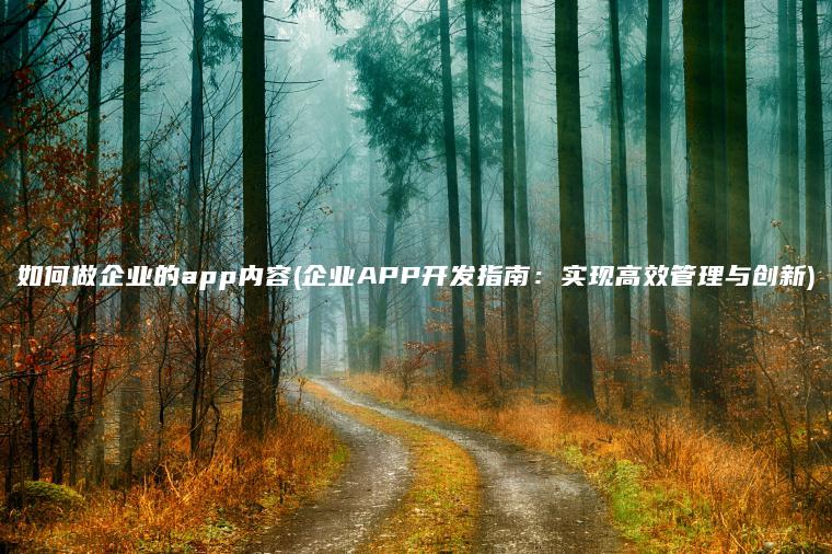 如何做企业的app内容(企业APP开发指南：实现高效管理与创新)