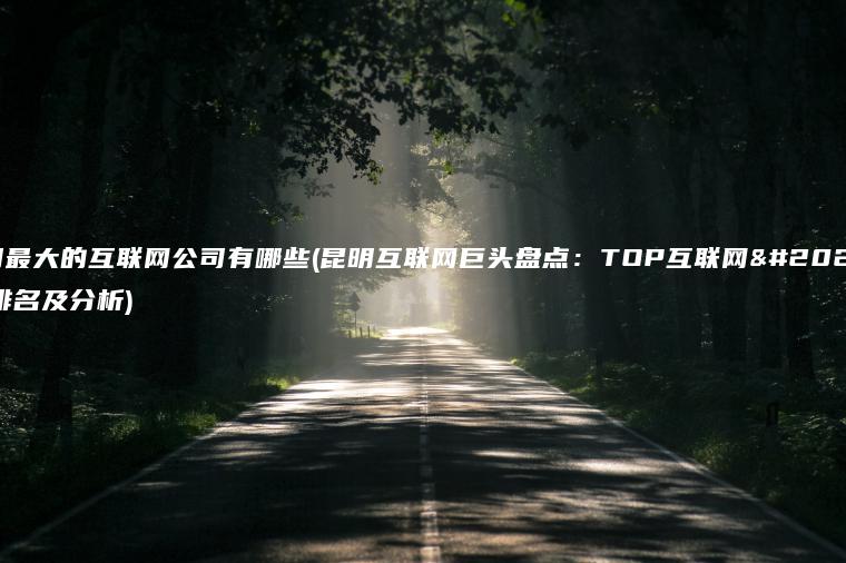 昆明最大的互联网公司有哪些(昆明互联网巨头盘点：TOP互联网企业排名及分析)