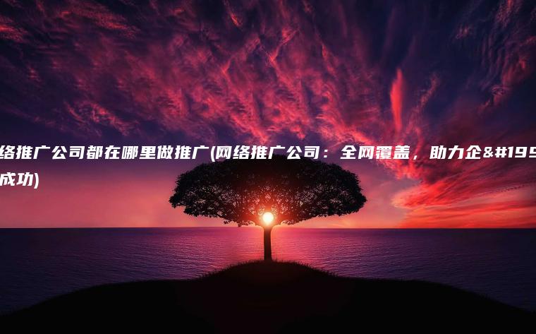 网络推广公司都在哪里做推广(网络推广公司：全网覆盖，助力企业成功)