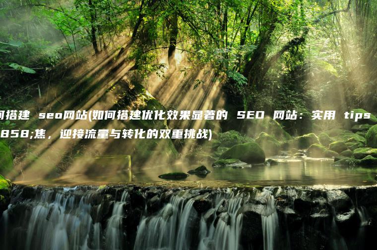 如何搭建 seo网站(如何搭建优化效果显著的 SEO 网站：实用 tips 聚焦，迎接流量与转化的双重挑战)