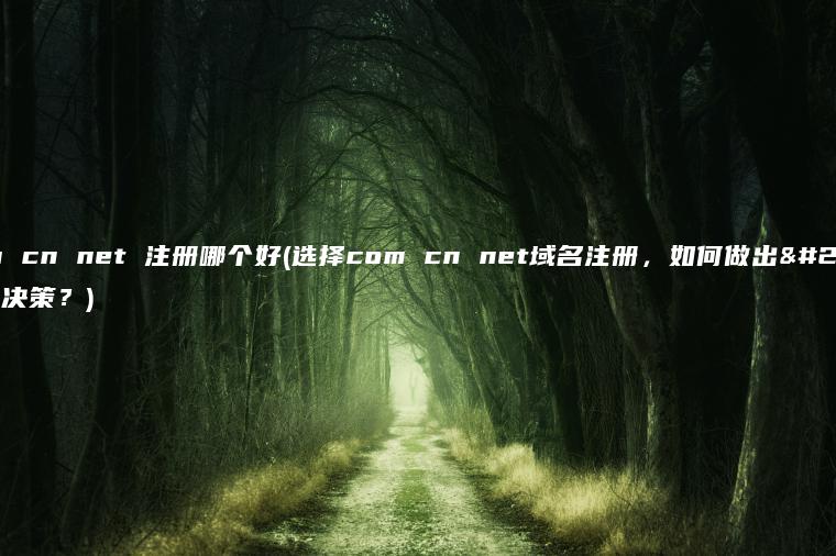 com cn net 注册哪个好(选择com cn net域名注册，如何做出明智决策？)