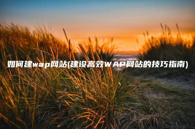 如何建wap网站(建设高效WAP网站的技巧指南)