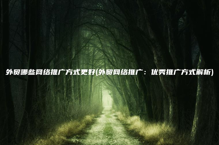 外贸哪些网络推广方式更好(外贸网络推广：优秀推广方式解析)