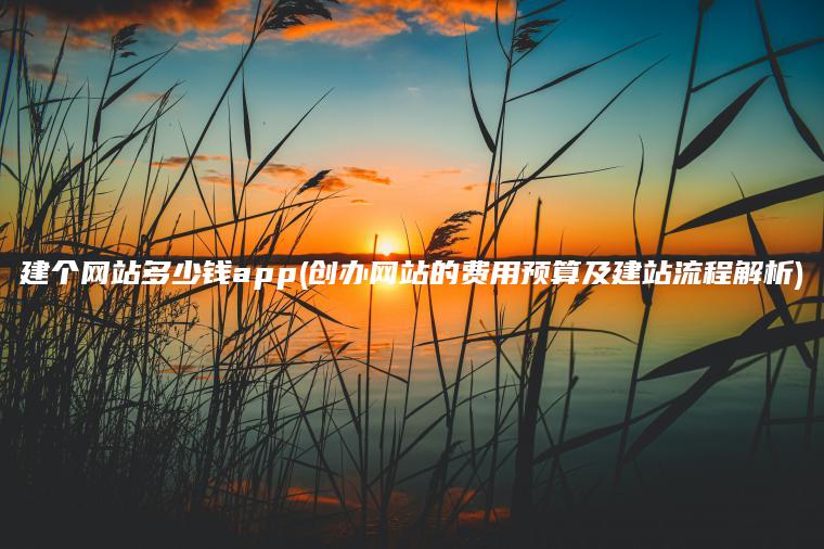 建个网站多少钱app(创办网站的费用预算及建站流程解析)