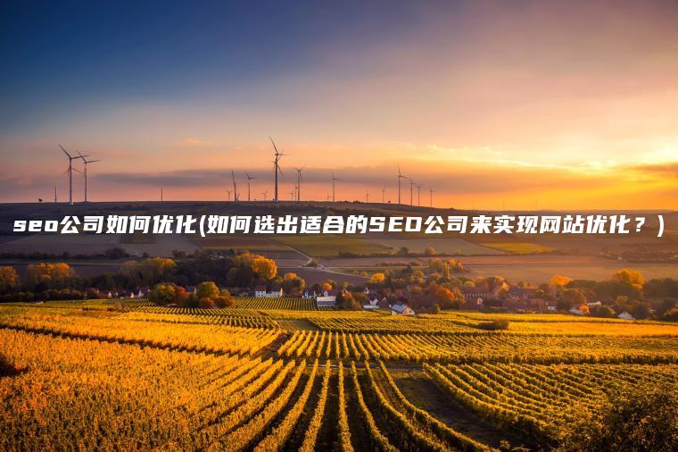 seo公司如何优化(如何选出适合的SEO公司来实现网站优化？)