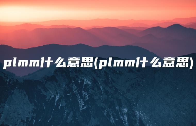 plmm什么意思(plmm什么意思)