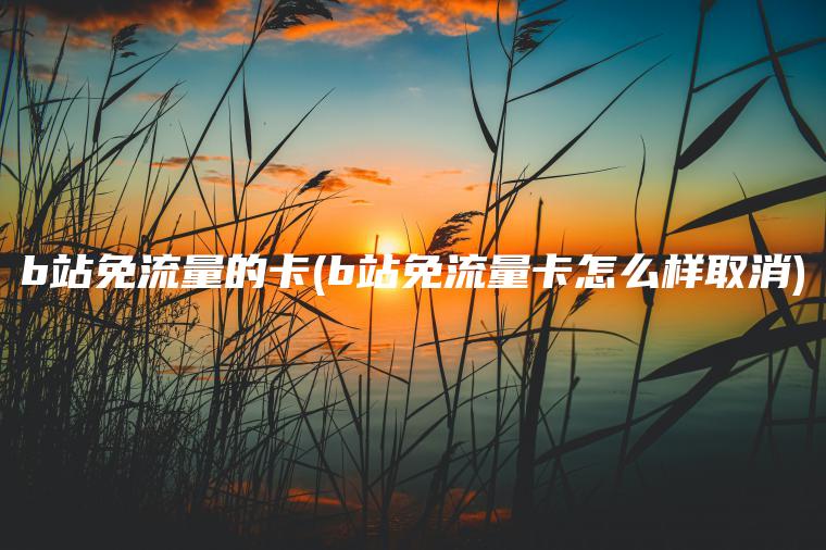 b站免流量的卡(b站免流量卡怎么样取消)