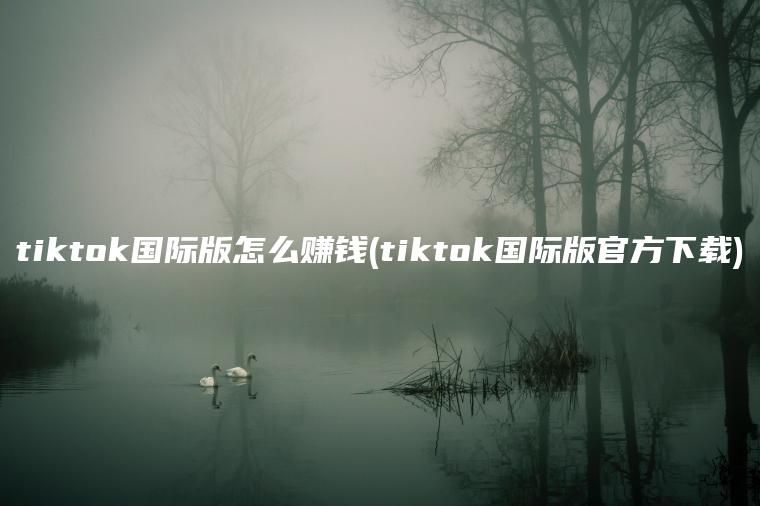 tiktok国际版怎么赚钱(tiktok国际版官方下载)