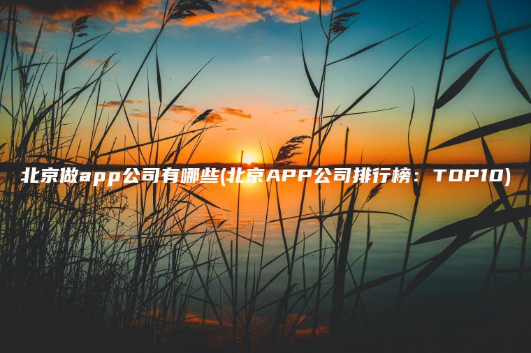 北京做app公司有哪些(北京APP公司排行榜：TOP10)